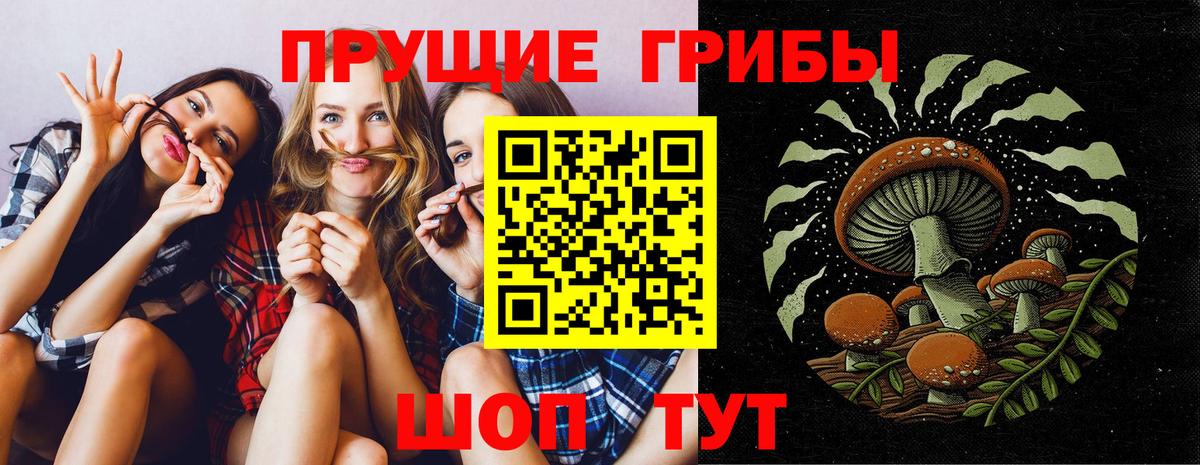 Галлюциногенные грибы прущие грибы Мурино