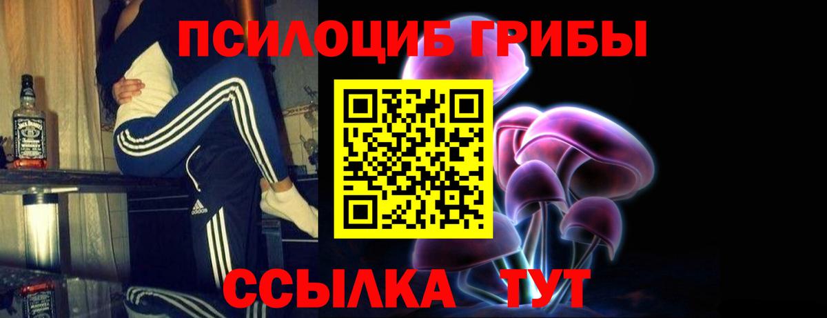 Мурино  Галлюциногенные грибы MAGIC MUSHROOMS  Вход с VPN 